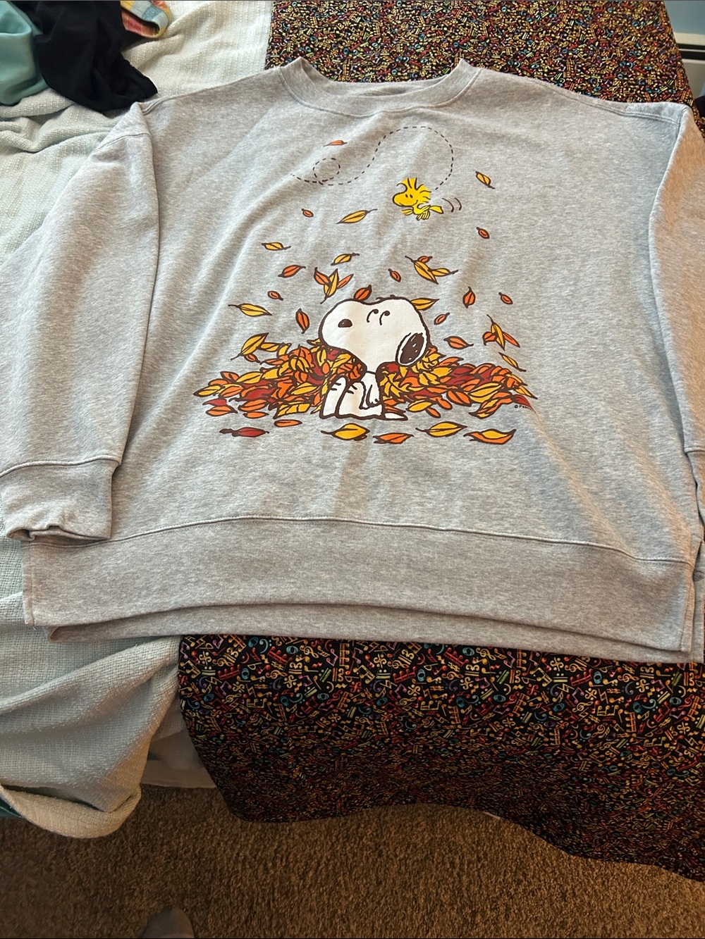 Women's Grey Snoopy & Woodstock Crewneck Sweatshirt